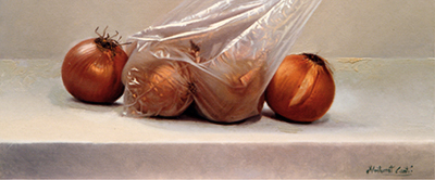 cebollas en una bolsa de plastico  autora Montse Canti